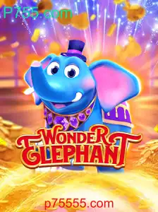 Descubra o Fascinante Mundo de WonderElephant